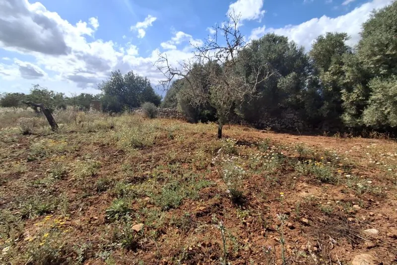 Plot with partial sea views between Cas Concos and Santanyí T 15 — photo 1