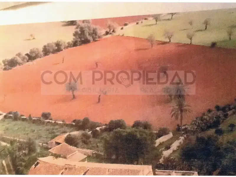 Rustic estate of 217,089 m² of own land, located between Felanitx and Porreres. It has a project for a rural hotel or agrotourism that — photo 9