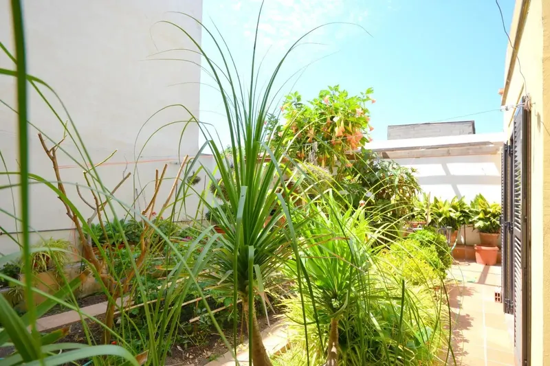 apartment in Sineu — photo 1