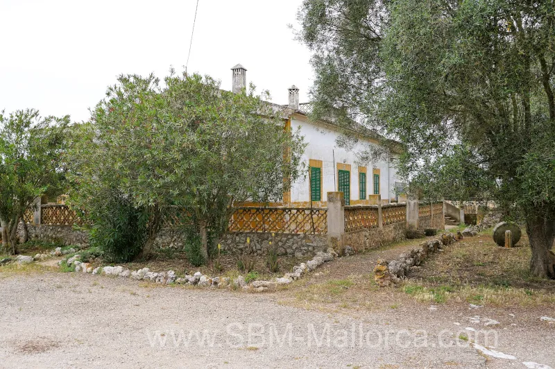 Finca in Vilafranca de Bonany - Country Mansion, Finca XXL — photo 8