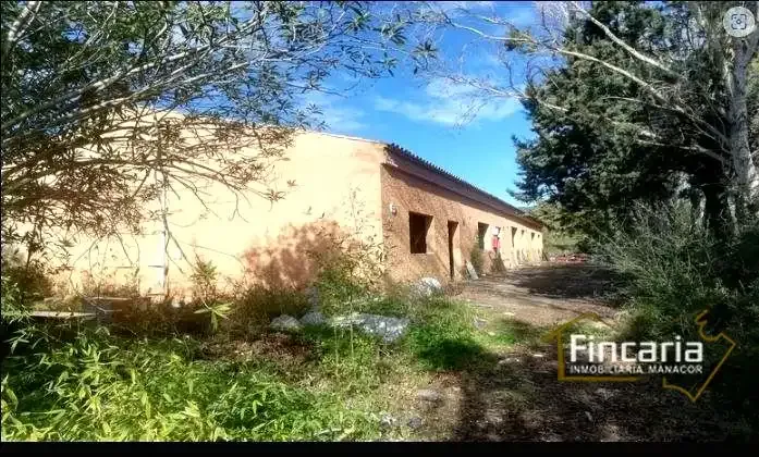 Sensational Event Center to Renovate Located in Son Alegre, Sa Pobla — photo 2