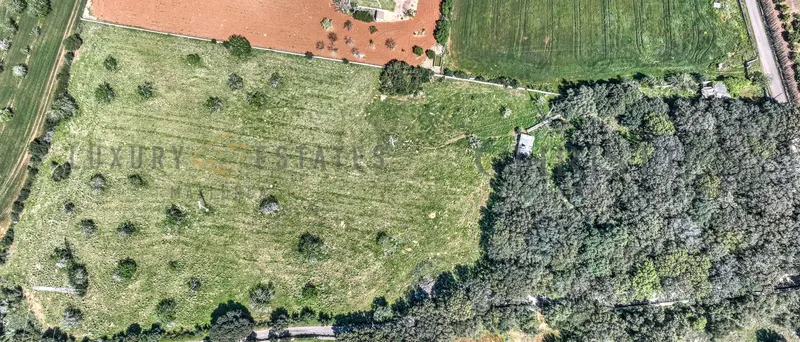 Idyllically situated plot in Buger with building permit for a country house with pool — photo 1