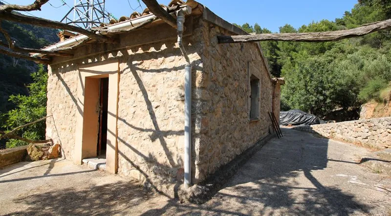 Olive grove in quiet area with semi-renovated little house — photo 2