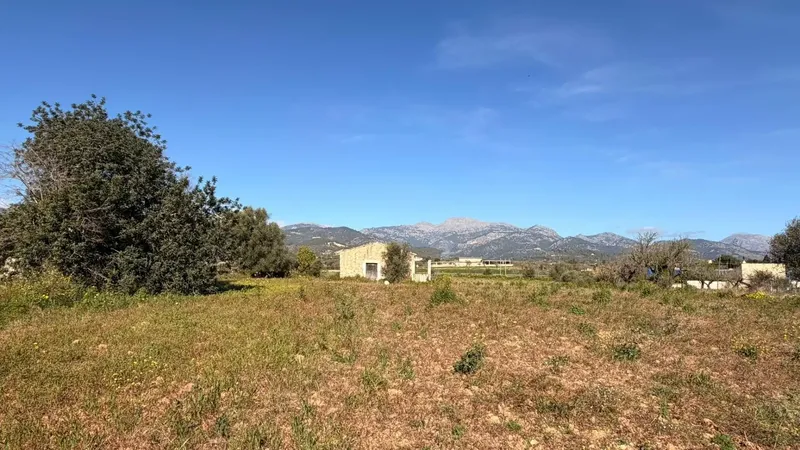 Large rustic estate of 11,000 m² in Lloseta, with existing house and renovation project — photo 2