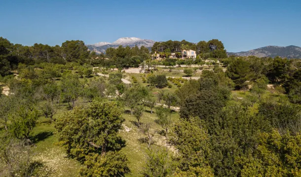 Mediterranean Paradise with Panoramic Views in the Serra de Tramuntana — photo 5