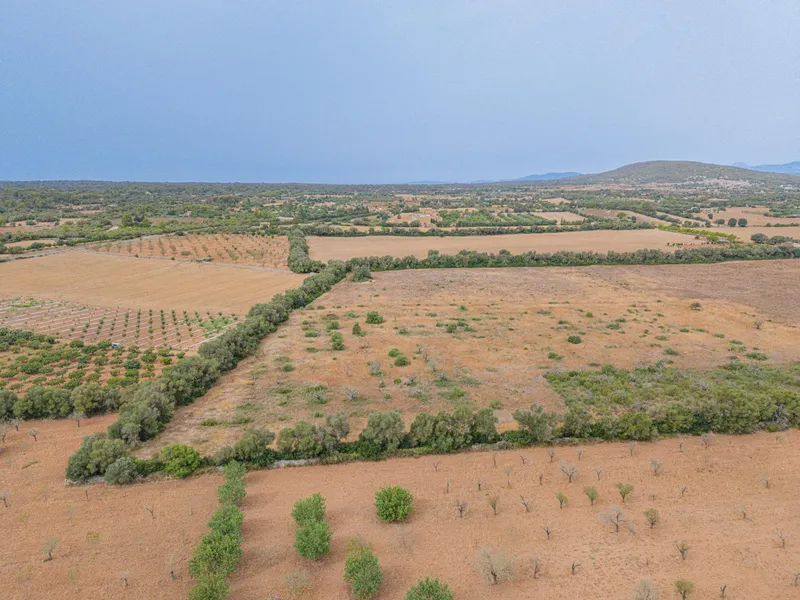 Rustic plot of 31,662 m² in Sencelles — photo 10