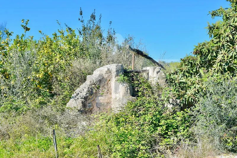 Building plot in a great location — photo 4
