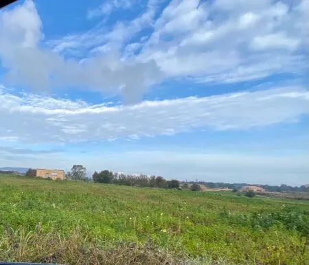 Rural Land - Manacor, Plot Surface 22000m² — photo 1