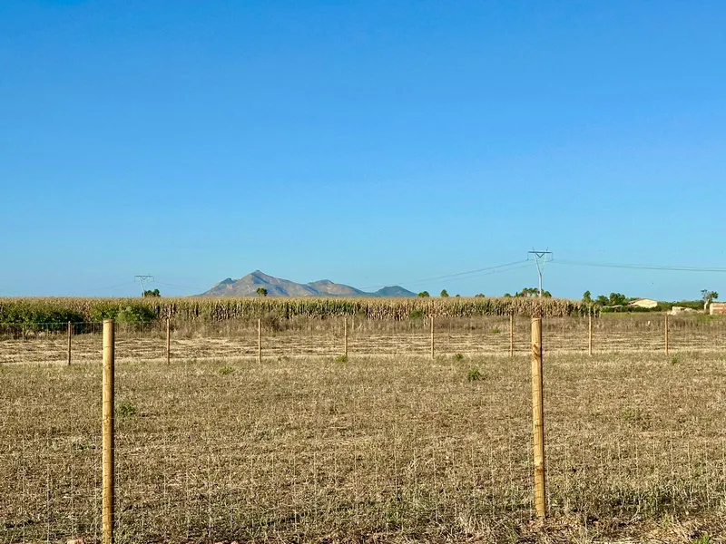 Fabulous building plot with project and building permits — photo 5