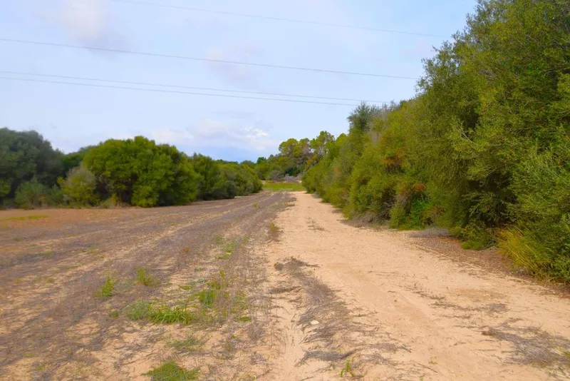 Land in Muro, Province of Balearic Islands — photo 3