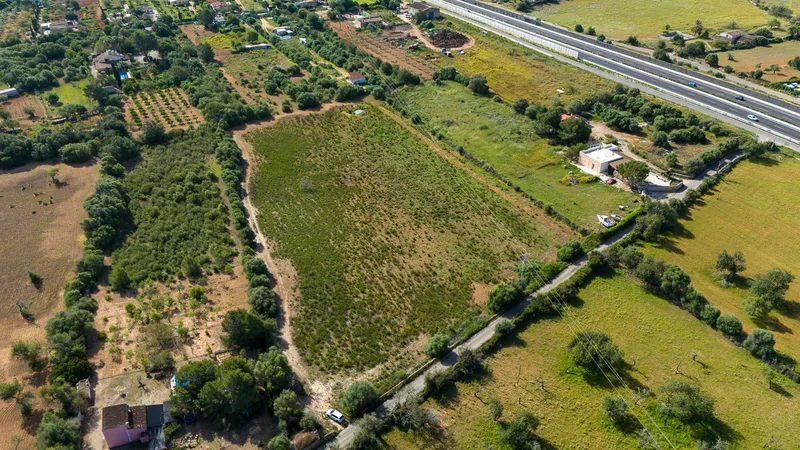 Rustic plot with project and favorable resolution in Llucmajor — photo 8