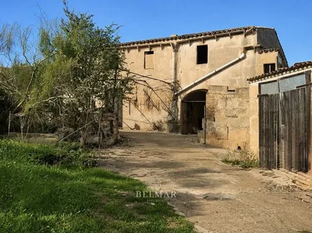 Finca property with an exclusive renovation project near Manacor — photo 4