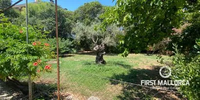 Real estate picture 0 Ref. No. 81730 — photo 8