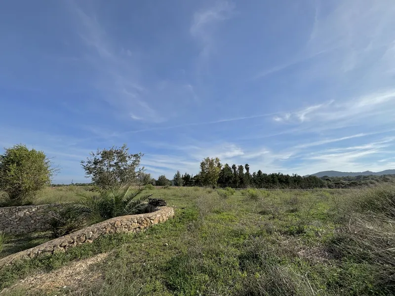 House / Chalet in Manacor — photo 10