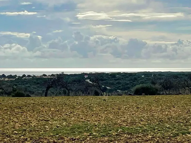 finca in Manacor — photo 12