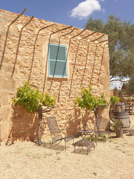 Remarkable finca with guest house in Llucmajor — photo 10