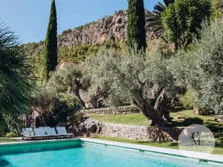 Luxurious Mallorcan Estate in the Tramuntana 'Son Oliveres' in Sóller - Deià — photo 3
