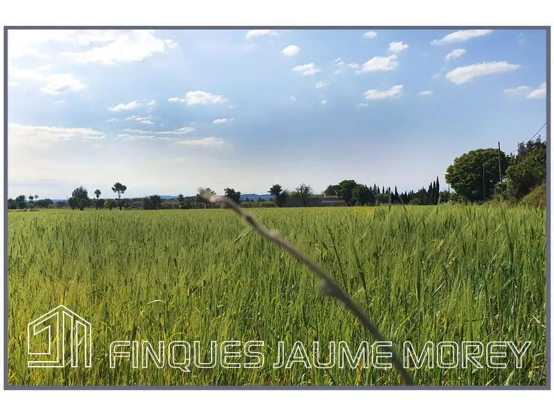 Land — photo 3