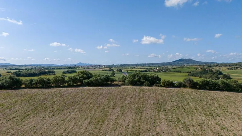 Land in Ariany, Province of Balearic Islands — photo 5