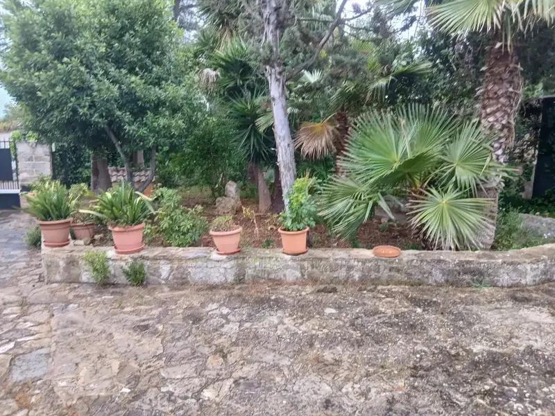 vendo hermosa finca en inca, tiene 1700 m2 de solar, con un chalet de140 m2 escriturados,la vivienda.tiene agua del puebloy luz de gesa , y  — photo 5