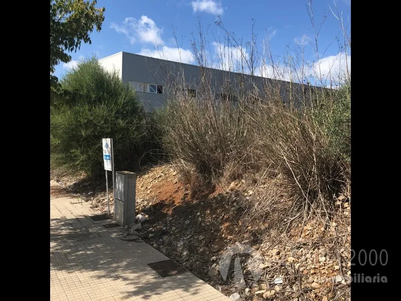 Land — photo 6