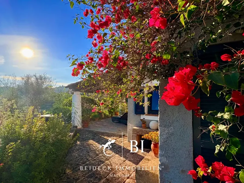 Finca in Son Macia, Mallorca — photo 4