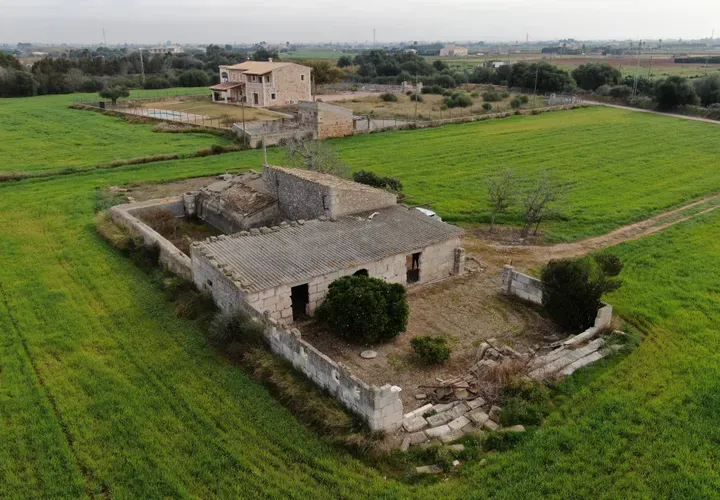 Land in Sa Pobla, Mallorca — photo 10