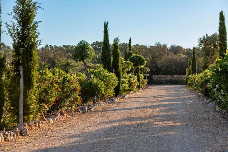 Country House in Campos, Province of Balearic Islands — photo 2