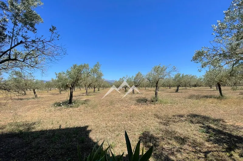 Rural Estates, Land and Plots — photo 10
