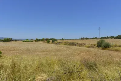 Land in Manacor — photo 6