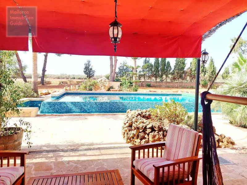 Campos, large finca with warehouses near Es Trenc beach — photo 8