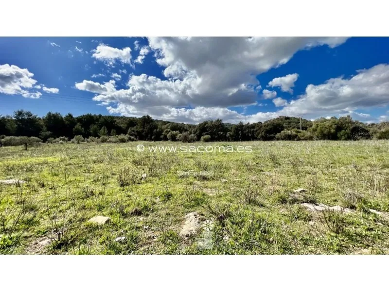 Land in Artà, Province of Balearic Islands — photo 3