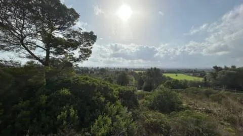 Plot — photo 4