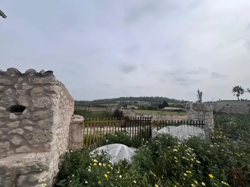 This estate in Llubí is an excellent opportunity for those seeking tranquility, space, and renovation potential. — photo 4