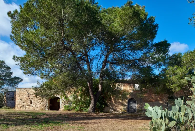 Old Mallorcan finca to renovate in Felanitx — photo 2