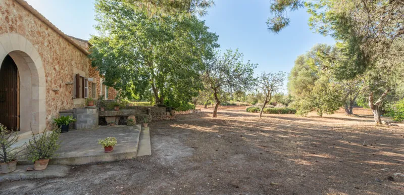 Country house for sale in Campos with land, orchard and own well — photo 6