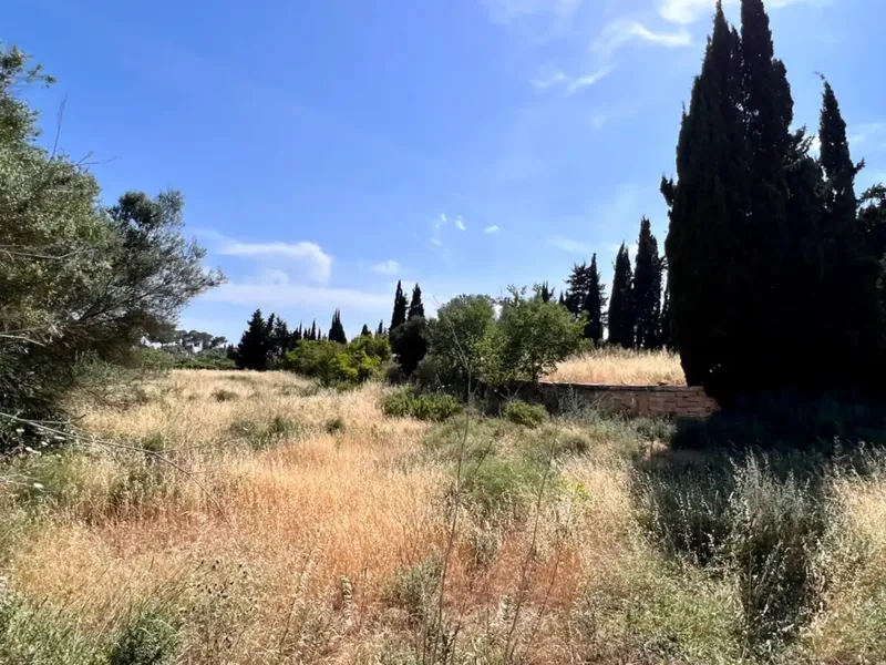 On the outskirts of Muro, next to the train station, we have this beautiful rustic estate with about 7,200 m2 of land and about 40 m2 — photo 8