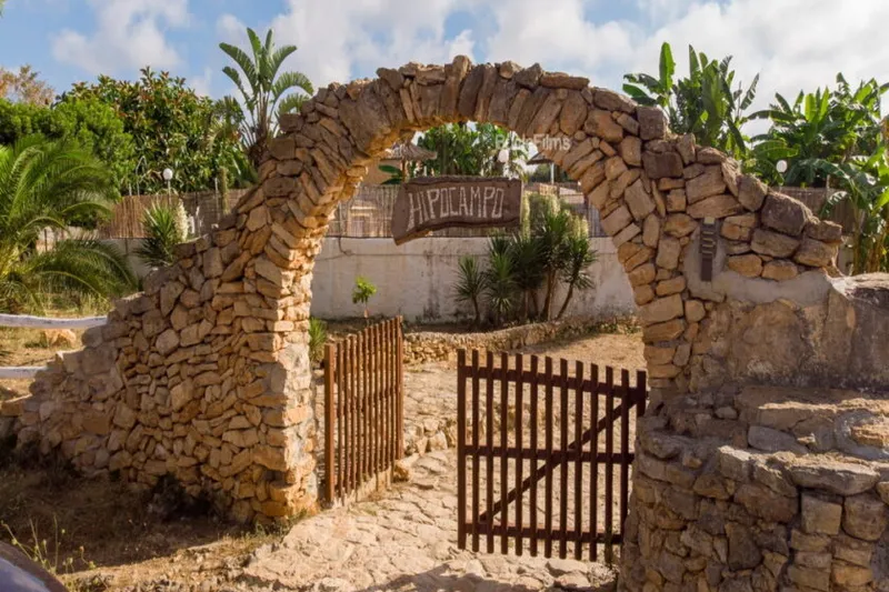 Finca with license for up to 23 places and pool near Calas de Mallorca — F 50 CM — photo 3