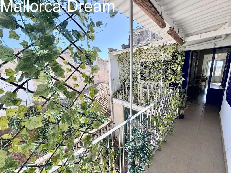 Porto Cristo: Perfect Apartment - small price — photo 4