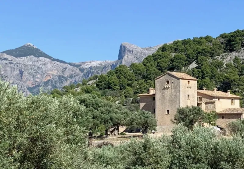 Agrotourism in the Tramuntana — photo 3