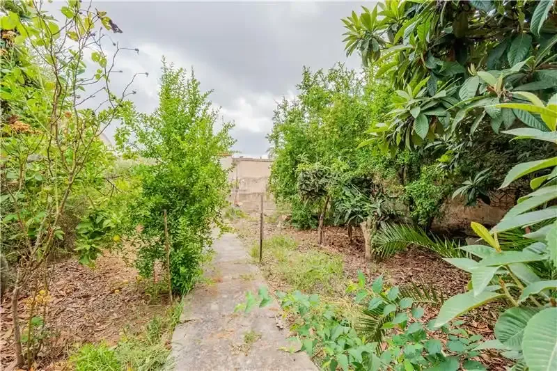 House in the village with terrace and garden, plot of approx. 490m2 — photo 3