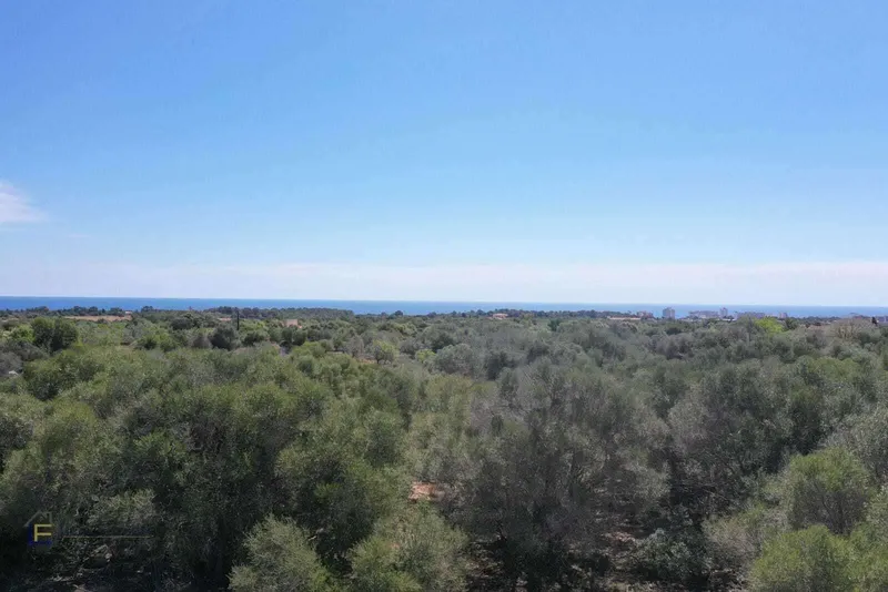 Plot near Cala Murada with sea views — photo 1