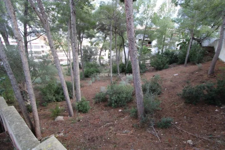 Building Plot for Sale in Santa Ponsa, Mallorca — photo 3