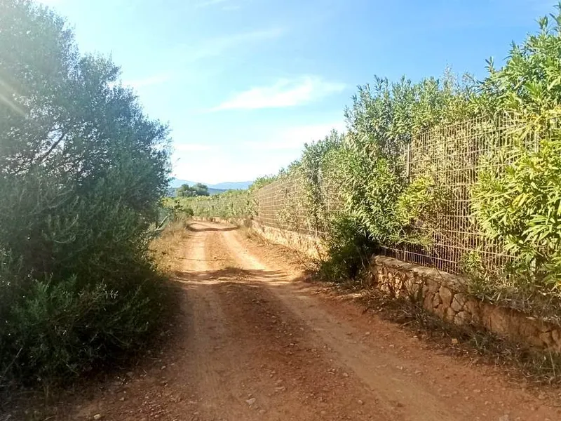 Country building plot of 77,648 m² in Son Gual area with building license, Palma — photo 8