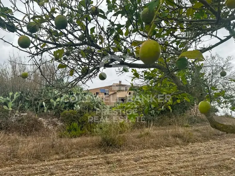 Immerse yourself in the essence of the most authentic Mallorca with this extraordinary estate, a treasure of history and Mallorcan rural charm. — photo 9