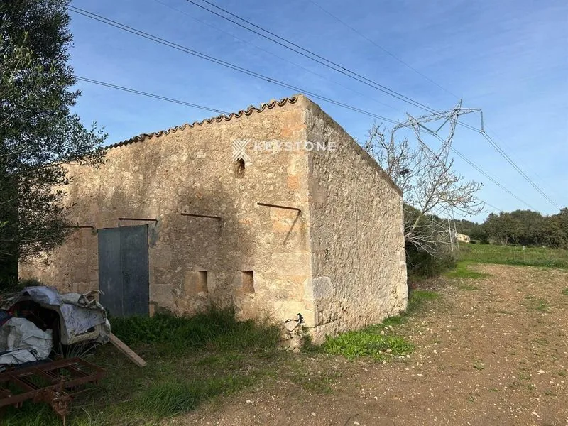 Plot — photo 4
