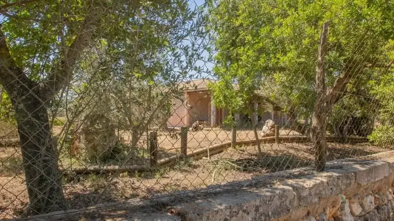 Investment opportunity: property without possession — photo 5