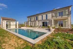 Newly built finca with own vineyard near Santa Maria for sale — photo 1