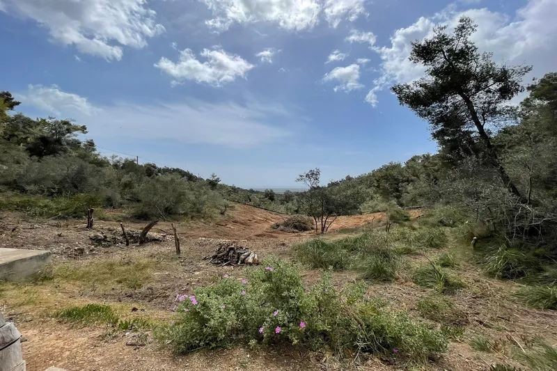 Finca with open gallery and panoramic sea views in Es Carritxo — photo 6