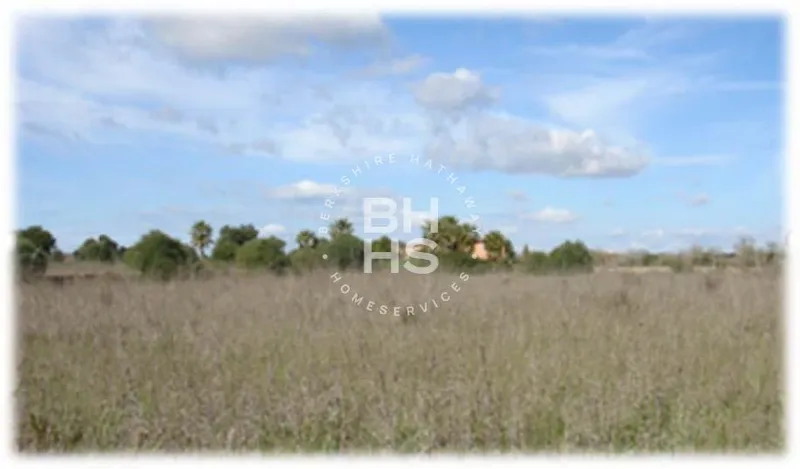 Country plot for sale in Llucmajor interior — photo 3